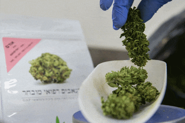 Israel to legalize medical cannabis this year